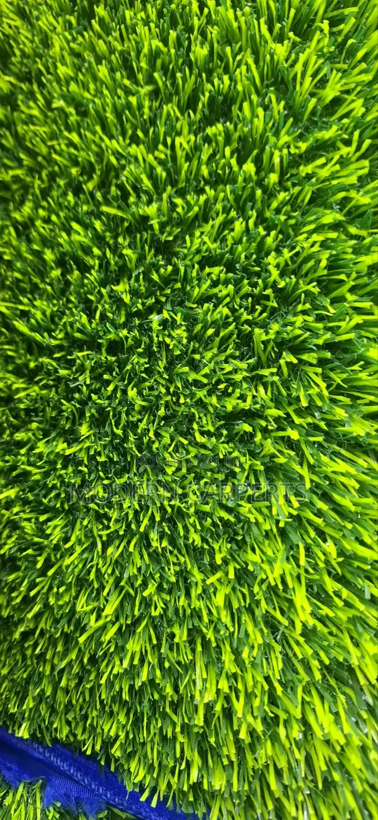 Sloppy Artificial Turf