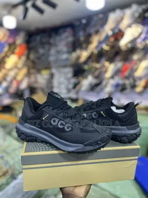 Nike Acg Mountain Fly 2 Low Gore-Tex – Original Outdoor Sneakers