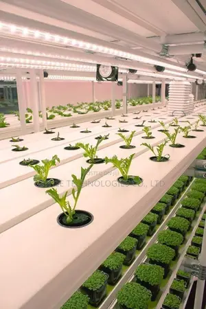 Hydroponic Farming Systems