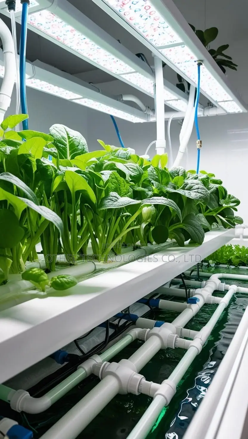 Hydroponic Farming Systems