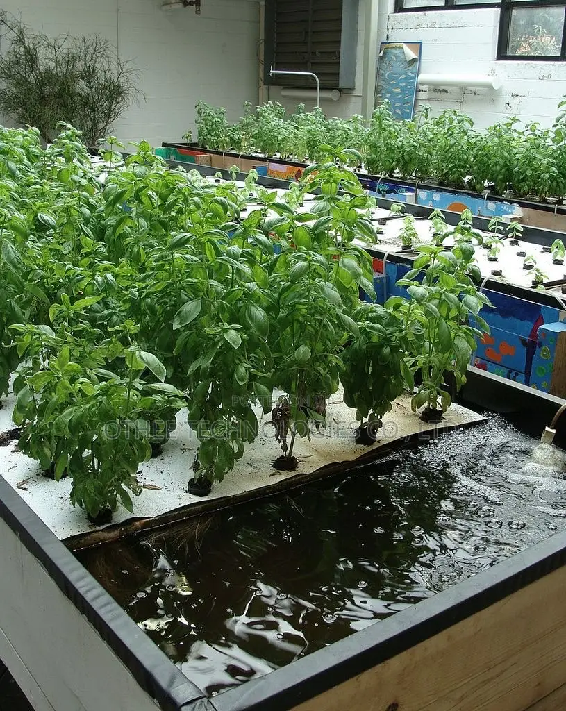 Aquaponic Farming Systems