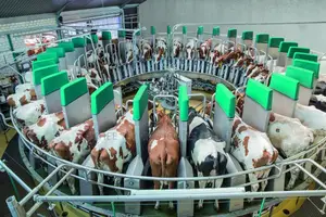 Smart Livestock Management