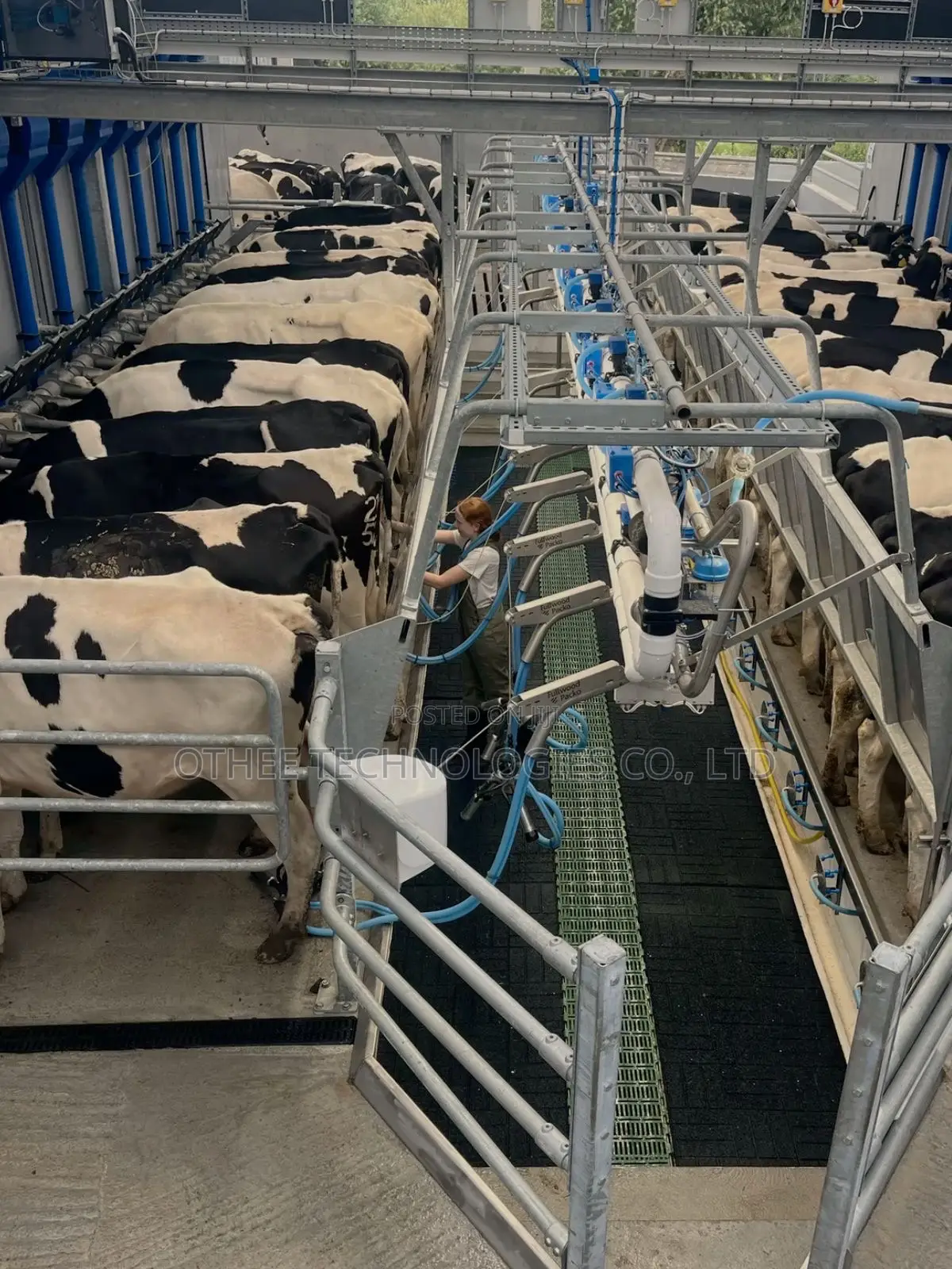 Smart Livestock Management