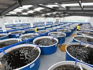 Smart Fish Farming