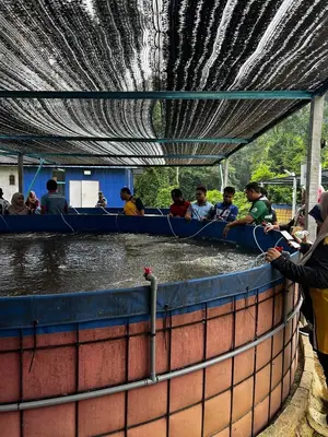 Smart Fish Farming