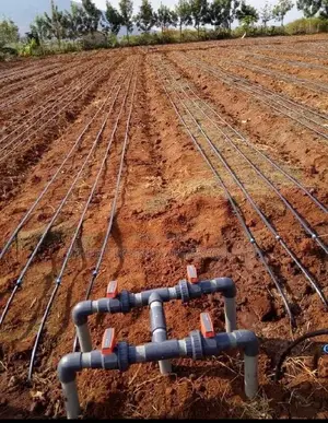 Intelligent Irrigation Systems