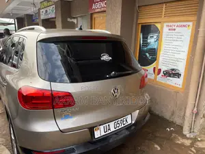 Volkswagen Tiguan 2014 Gray