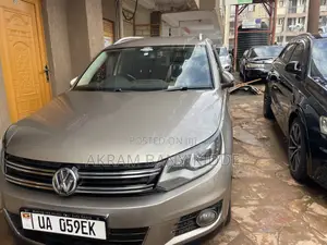 Volkswagen Tiguan 2014 Gray