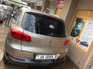Volkswagen Tiguan 2014 Gray