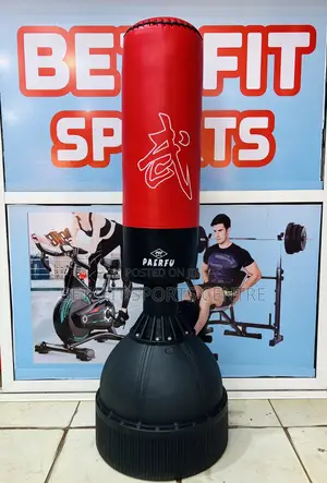 Standing Punching Bag