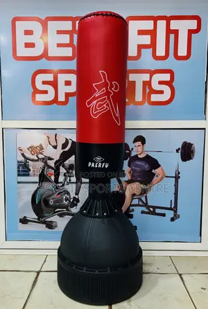Standing Punching Bag