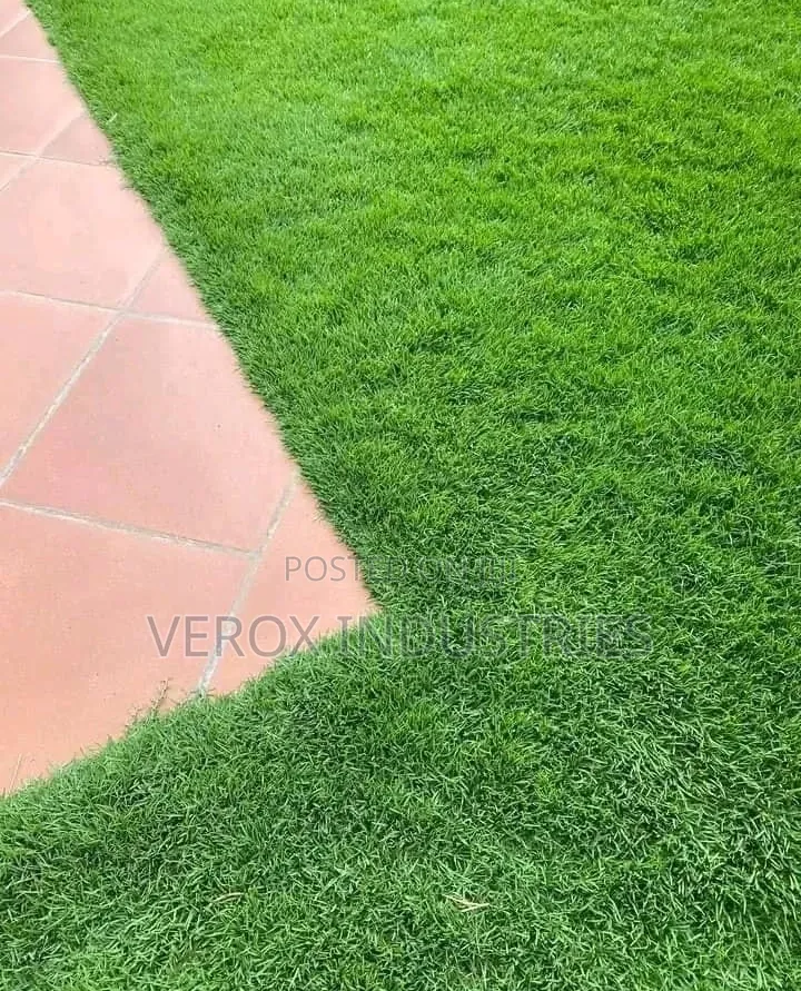 Natural Carpet- Grass