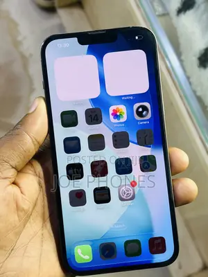 Apple iPhone 13 Pro Max 256 GB Green