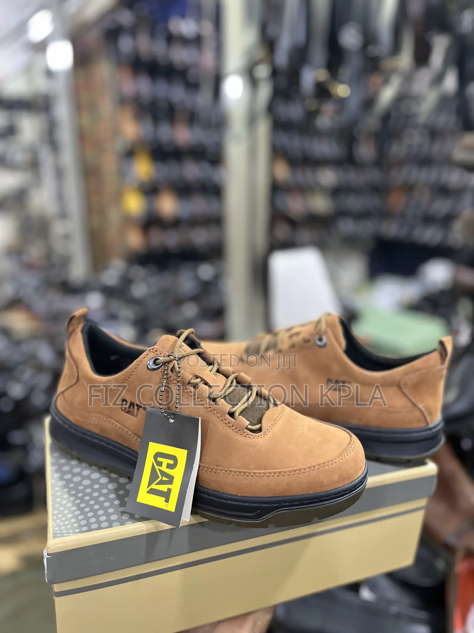 CAT Premium Coffee Brown Leather Shoes