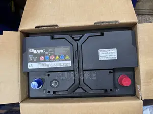 Din80 EFB Sebang Battery of Start-Stop Technology