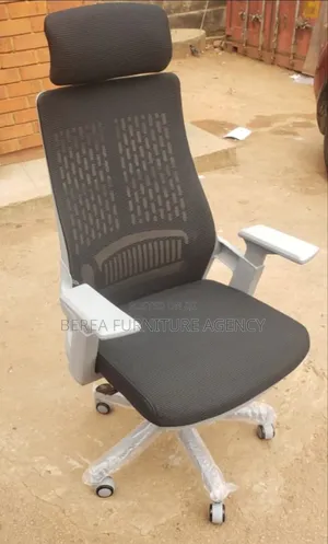 Pure Mesh Adjustable Executive Brand New Chair