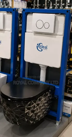 Concealed Toilet