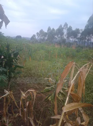 Lands Plot in Masuliita Wakiso for Sale