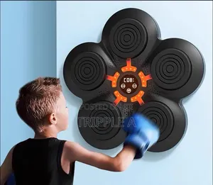 New Smart Bluetooth Music Boxing Machine