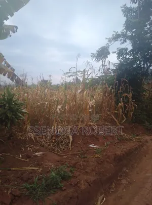 Plot in Masuliita Wakiso for Sale Near