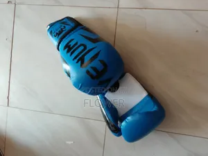 Boxing Gloves