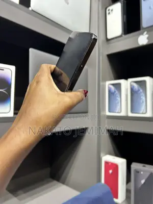 Apple iPhone 13 Pro Max 256 GB Gray