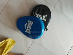 Boxing Pads