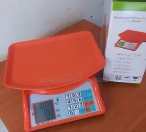 Kitchen Weigh Scale With Abs Plastic Weigh Digital Weighing Scales