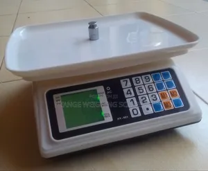 Electronic Meat Weighing Scale A.C.S 40kg Weigh Kitchen Weighing Scale