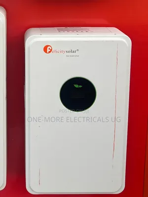Original Smart Lithium Battery 5kwh/24volts