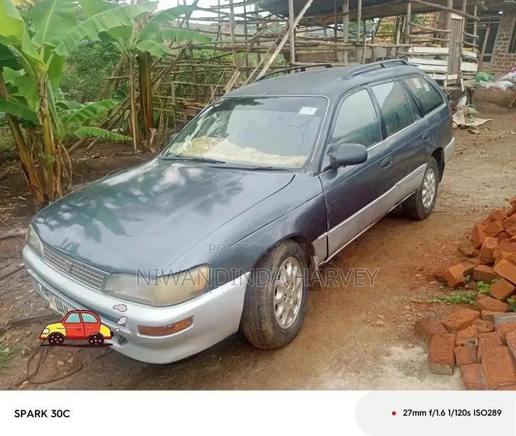 Toyota Corolla 1995 Gray