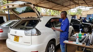 Harrier Window Tinting