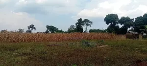 Land on Sale