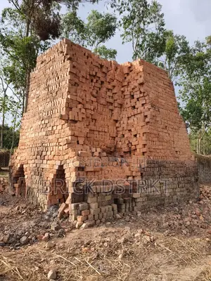Clay Bricks