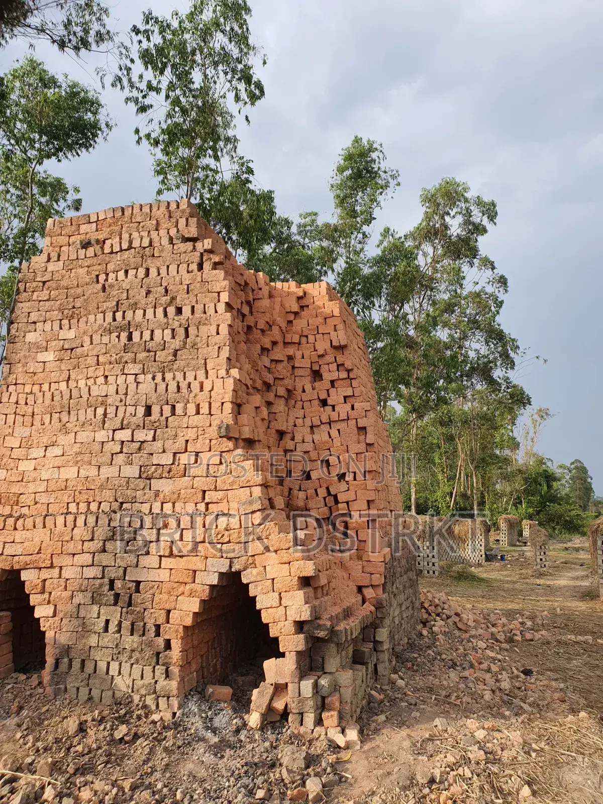 Clay Bricks