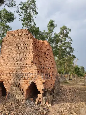Clay Bricks