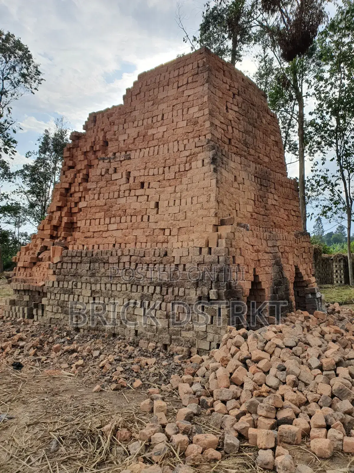 Clay Bricks