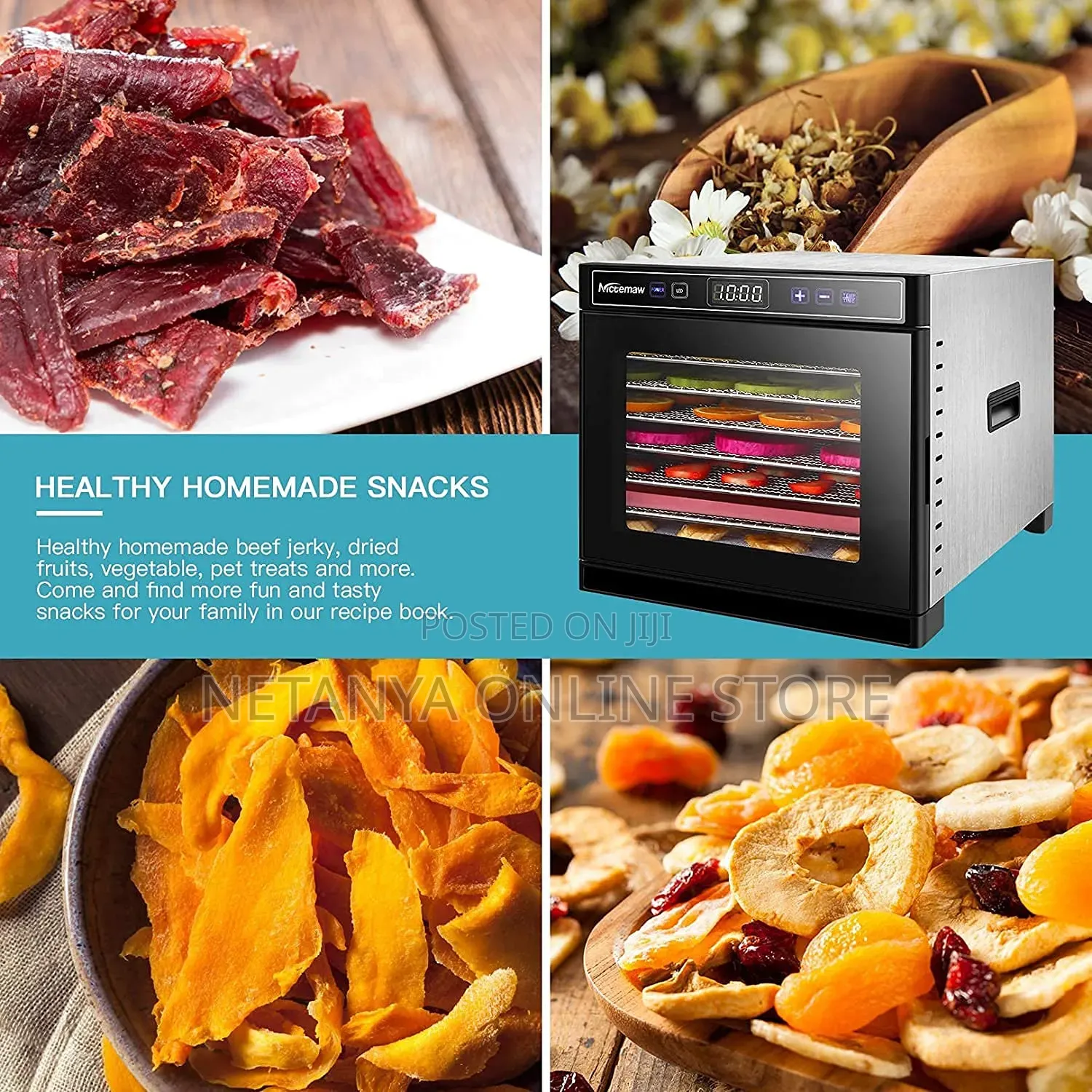 Professional Stainless Steel Food Dehydrator