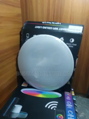 Wifi Smart Led Ceiling Lamp Dimmable RGB