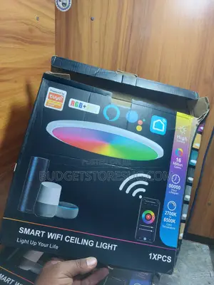 Smart Ceiling Lamp