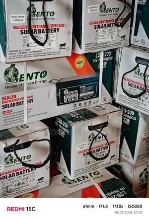 Heavy Duty Backpack System Inverter 2.5kva/24volts