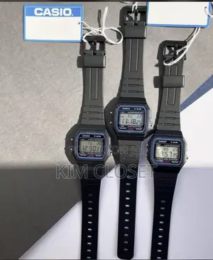 The Vint Casio