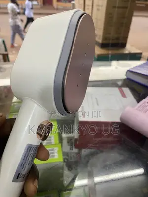 Hoffman Garment Steamer