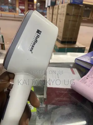 Hoffman Garment Steamer