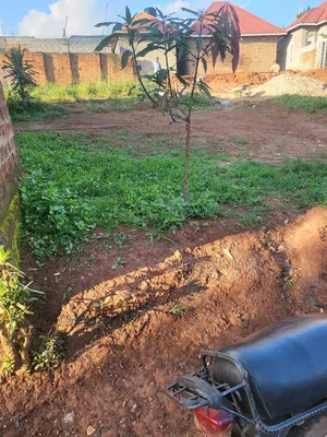 Plot on Sale