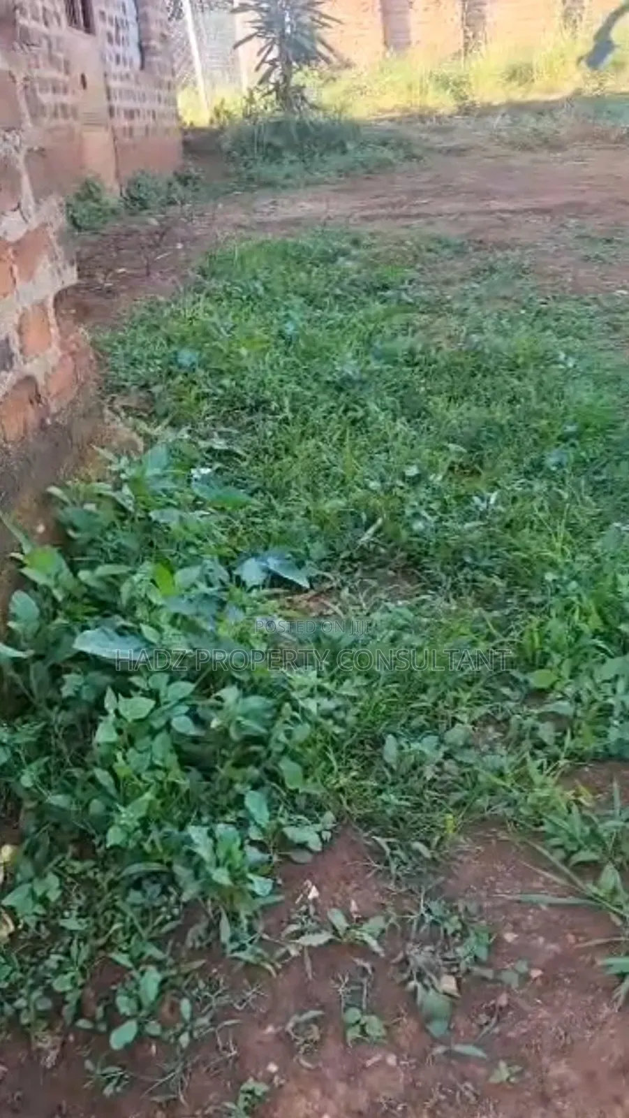 Plot on Sale