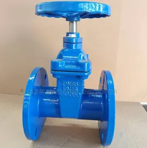 Gate Valve 1.5