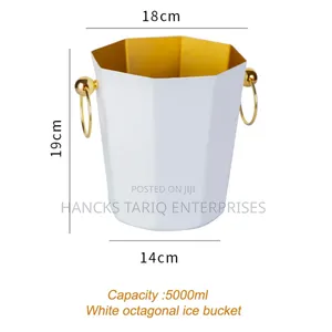 Stainless Steel Camping Ice Bucket