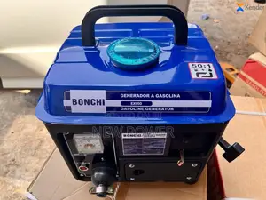 1kw 2 Stroke Generator