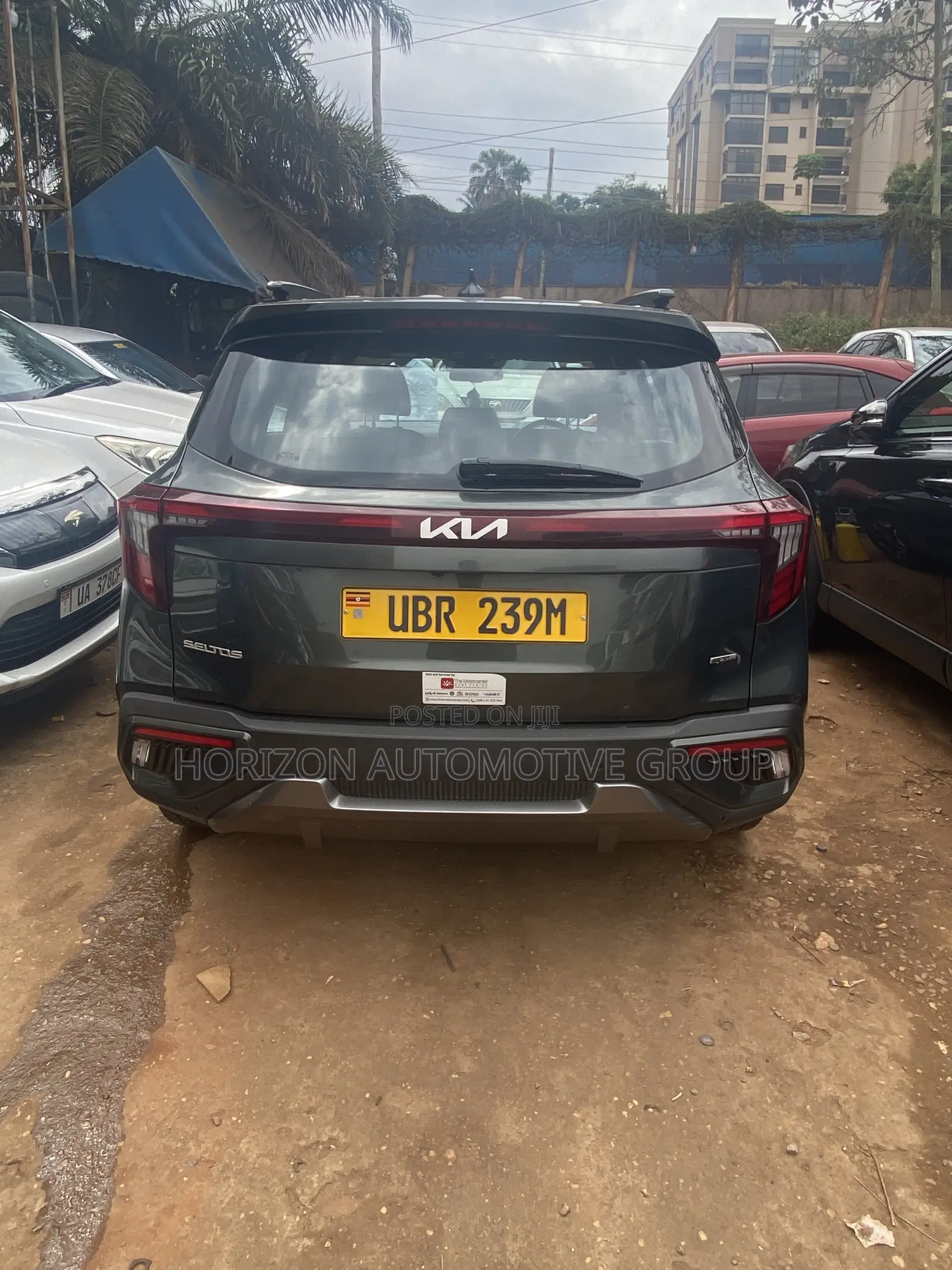 Kia Seltos S 2024 Green